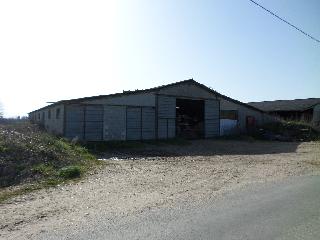23-3-22 110.jpg